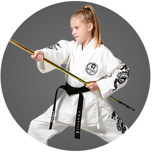ATA Martial Arts Apex Martial Arts Karate for Kids